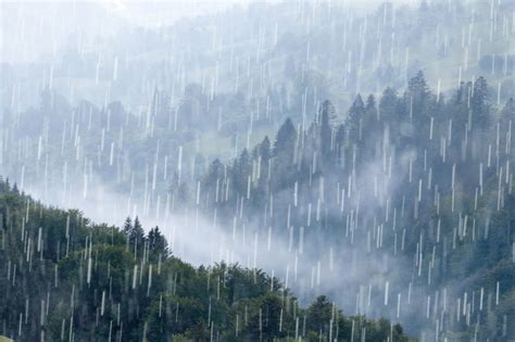 下大雨圖片|100000 多张免费的“下大雨”和“雨”照片